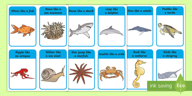 Ocean Animal Movement Cards (teacher made) - Twinkl