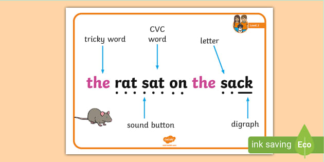 Level 2 Phonics - Terminology Display Poster - Twinkl