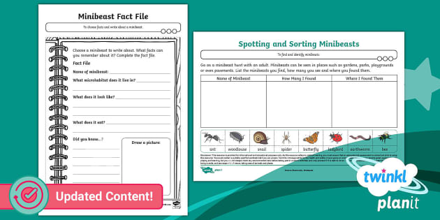 Science: Biodiversity - Minibeasts: Home Learning Tasks Year 2