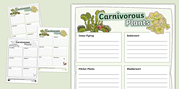 Carnivorous Plants Fact File Template (Teacher-Made)