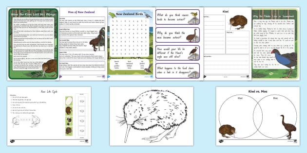 New Zealand Birds Reliever's Activity Pack (teacher Made)