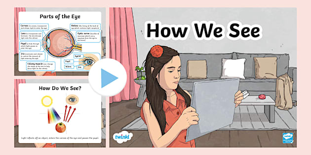 How We See PowerPoint - Primary Education Science - Twinkl