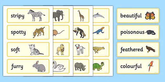 Animal Adjectives Word Cards - ESL Animal Vocabulary Cards