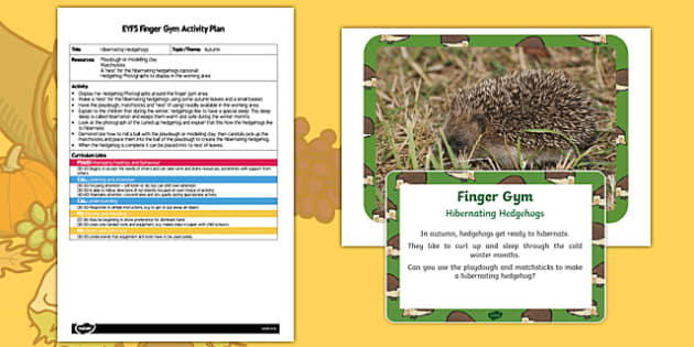 EYFS Hibernating Hedgehogs Finger Gym Plan and Resource Pack