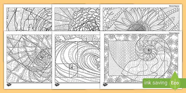 barrikade Tips klamre sig Fibonacci Sequence in Nature Mindfulness Colouring Pages