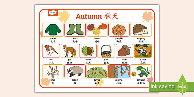 Autumn Flashcards  Twinkl Teacher-Made Learning Resources