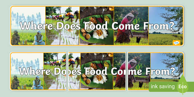 NEW Where Does Food Come From Photo Display Banner new-where-does-food-come-from-photo-display-banner