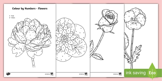 colouring-different-flower-types-by-numbers