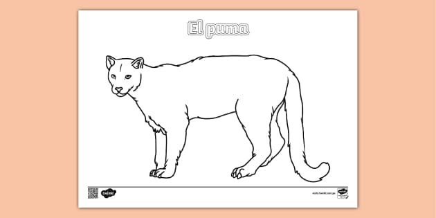 Un puma para colorear cheap