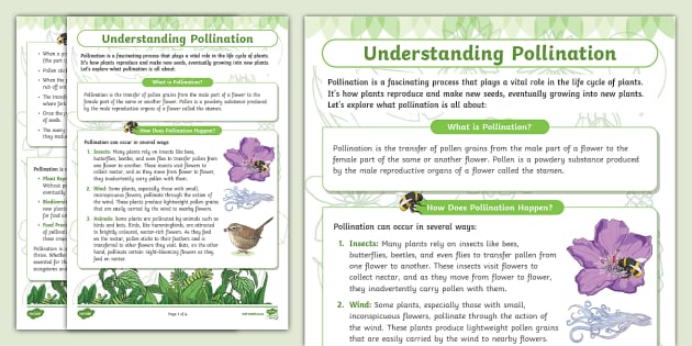 Understanding Pollination Twinkl 1773