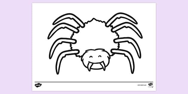 FREE Printable Spider Colouring Page Twinkl