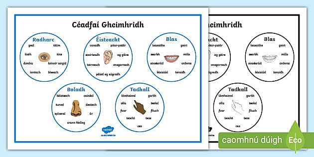 Winter Senses Word Mat Gaeilge Teacher Made Twinkl 7638