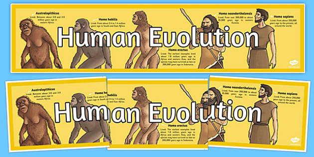 evolution of man timeline