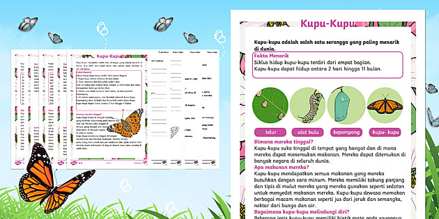 Kegiatan Selama Liburan Sekolah di Rumah dan di Luar Ruangan