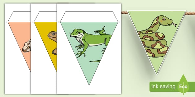 Reptile Bunting - Classroom Displays (teacher made) - Twinkl
