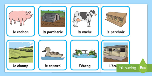 Cartes pour jeu de paires : Les animaux (teacher made)