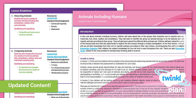 FREE! - Year 1 Animals Including Humans Planning Overview | Twinkl