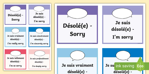 👉 French Apology Word Cards (teacher made) - Twinkl