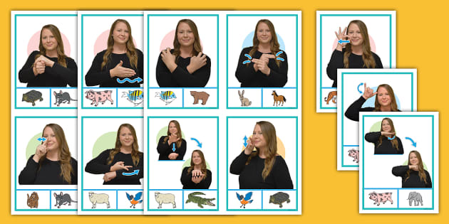 ASL Animals Clip Cards (teacher made) - Twinkl