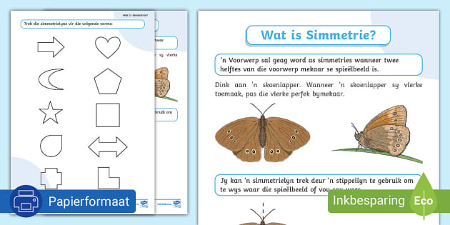 Wat Is Simmetrie? - Aktiwiteit (teacher made) - Twinkl