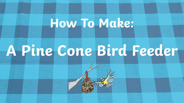 How To Make A Pine Cone Bird Feeder Video