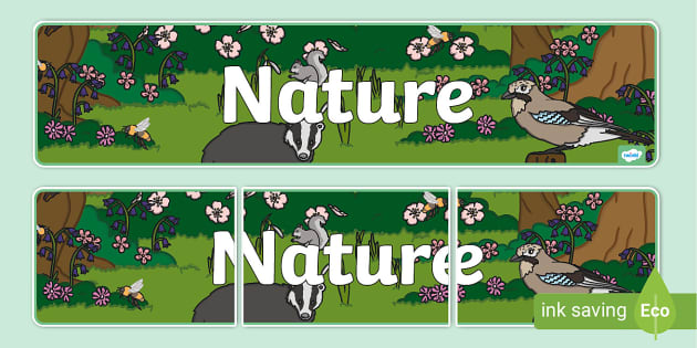 Nature Display Banner (teacher made) - Twinkl