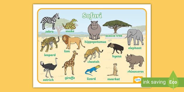 Safari Word Mat teacher Made Twinkl
