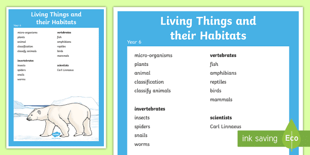 Year 6 Living Things their Habitats Scientific Vocabulary Poster