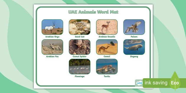 UAE Animals Word Mat (Hecho por educadores) - Twinkl