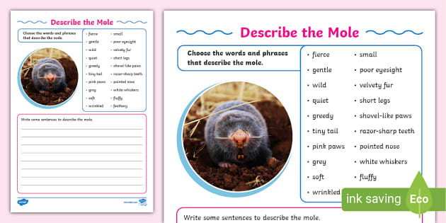 Describe The Mole Writing Worksheet Teacher Made Twinkl 6451