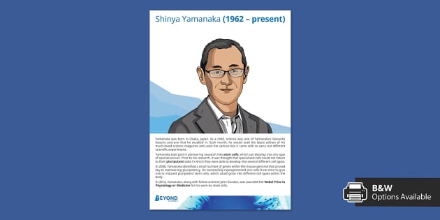 Shinya Yamanaka Display Poster (teacher made) Twinkl