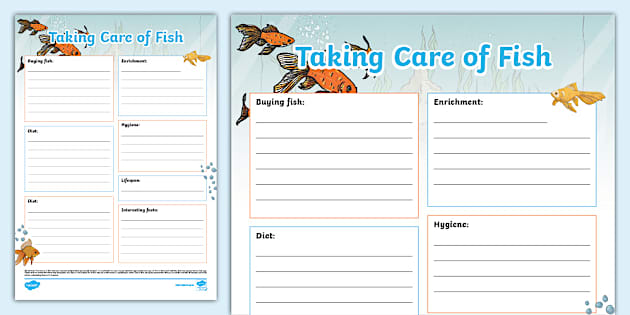 Taking Care of Fish Fact File Template - Twinkl
