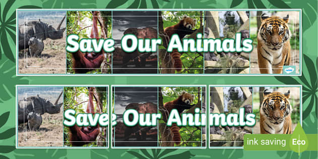 Save Our Animals Photo Display Banner (teacher made)