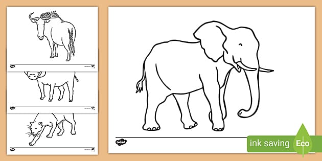 African Animal Colouring Pages (teacher made) - Twinkl