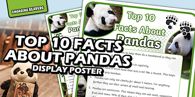 NEW * Top 10 Facts About Pandas
