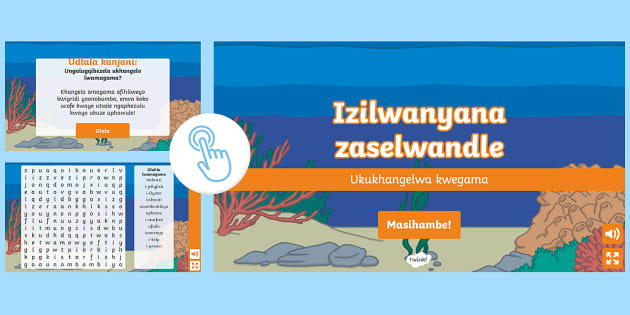 Marine Animals Wordsearch isiXhosa (teacher made) - Twinkl