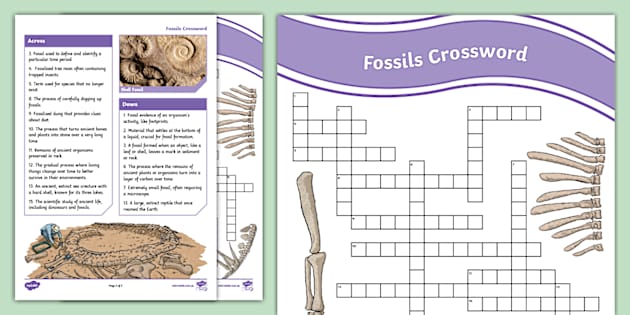 Fossils Crossword (Hecho Por Educadores) - Twinkl