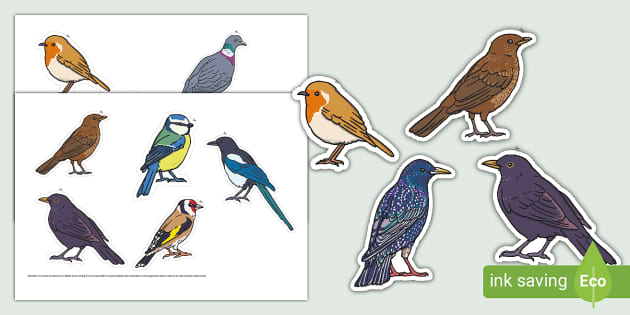 irish garden birds images clipart