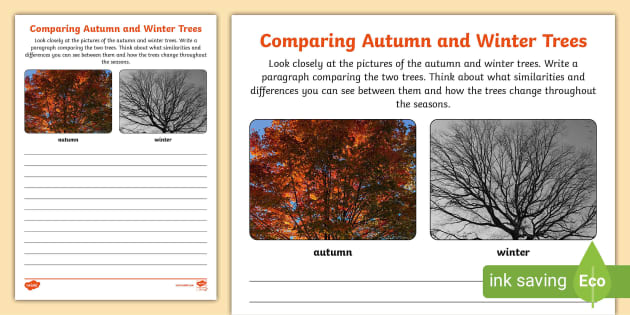 Comparing Autumn and Winter Trees Worksheet (teacher made)