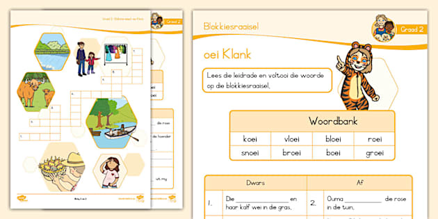 Graad 2 Klanke Blokkiesraaisel oei (teacher made) - Twinkl