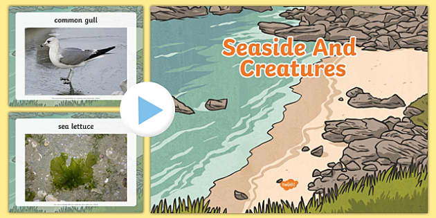 Seaside and Creatures Photo PowerPoint - Twinkl