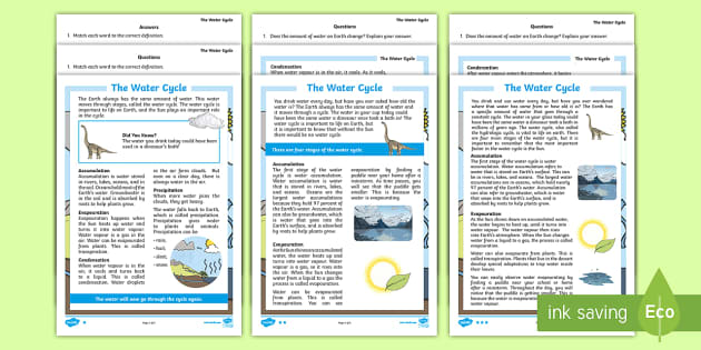 * NEW * The Water Cycle Differentiated Reading Comprehension