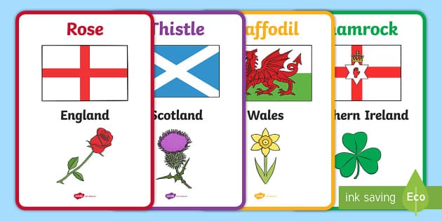 flowers-of-britain-and-ireland-display-posters-with-flags