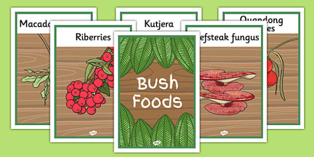 Bush Foods Display Posters (teacher Made) - Twinkl