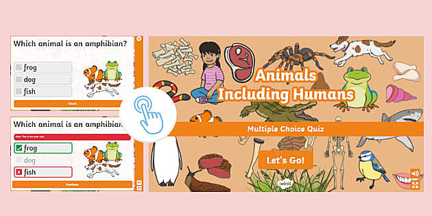 Living Things and their Habitats Interactive Quiz - Twinkl