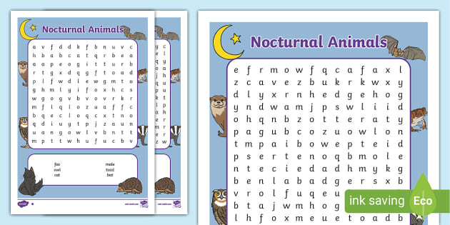 Nocturnal Animals Word Search KS1 - Primary Resources