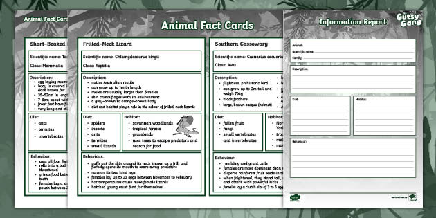 Animal Fact Card Example The Gutsy Gang: Bk 1 Animal Fact Card and Information Report