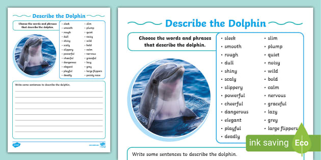 Dolphin Essay In English - A Dolphin's Life