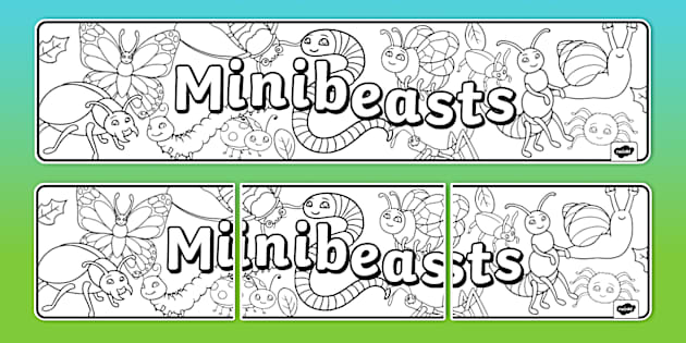 Minibeasts Colouring Display Banner (teacher made) - Twinkl