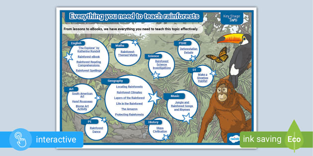 FREE! - Rainforests Planning Map (teacher Made) - Twinkl